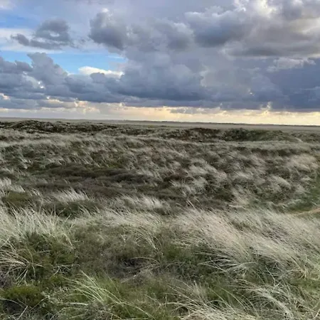 Luxury Retreat In Romo - By Traum Sønderby