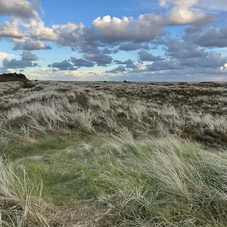 Luxury Retreat In Romo - By Traum * Sønderby